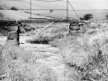 OS-GS-CSW-01-Sam SEVILLE-c1930.jpg
