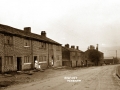 GS-DSW_Calf Hey_01_H W SMITH_c1910.jpg
