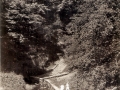 GS-DSW_Culvert_03_Clarence COTTRELL_c1915.jpg
