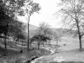 GS-DSW_Glen_01_c1910.jpg