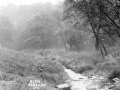 GS-DSW_Glen_03_c1910.jpg