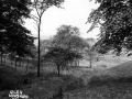 GS-DSW_Glen_04_c1910.jpg