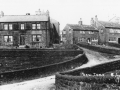 GS-DSW_New Tame_01_Clarence COTTRELL_c1910.jpg