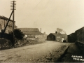 GS-DSW_Old Tame_01_c1910.jpg