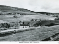 GS-DGL_03_Lilywhite_c1960.jpg