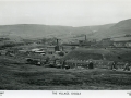 GS-DGL_87_Lilywhite_c1960.jpg
