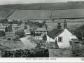 OS-GS-DGL-81_Lilywhite_c1950.jpg