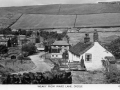 OS-GS-DGL-87_Lilywhite_c1950.jpg
