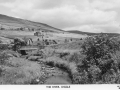 OS-GS-DGL-88_Lilywhite_c1950.jpg