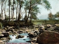 GS-GFD_Chew Brook_14.jpg