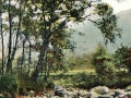 GS-GFD_Chew Brook_17.jpg