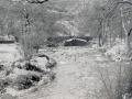 GS-UPM_Stepping Stones_02_c1965.jpg